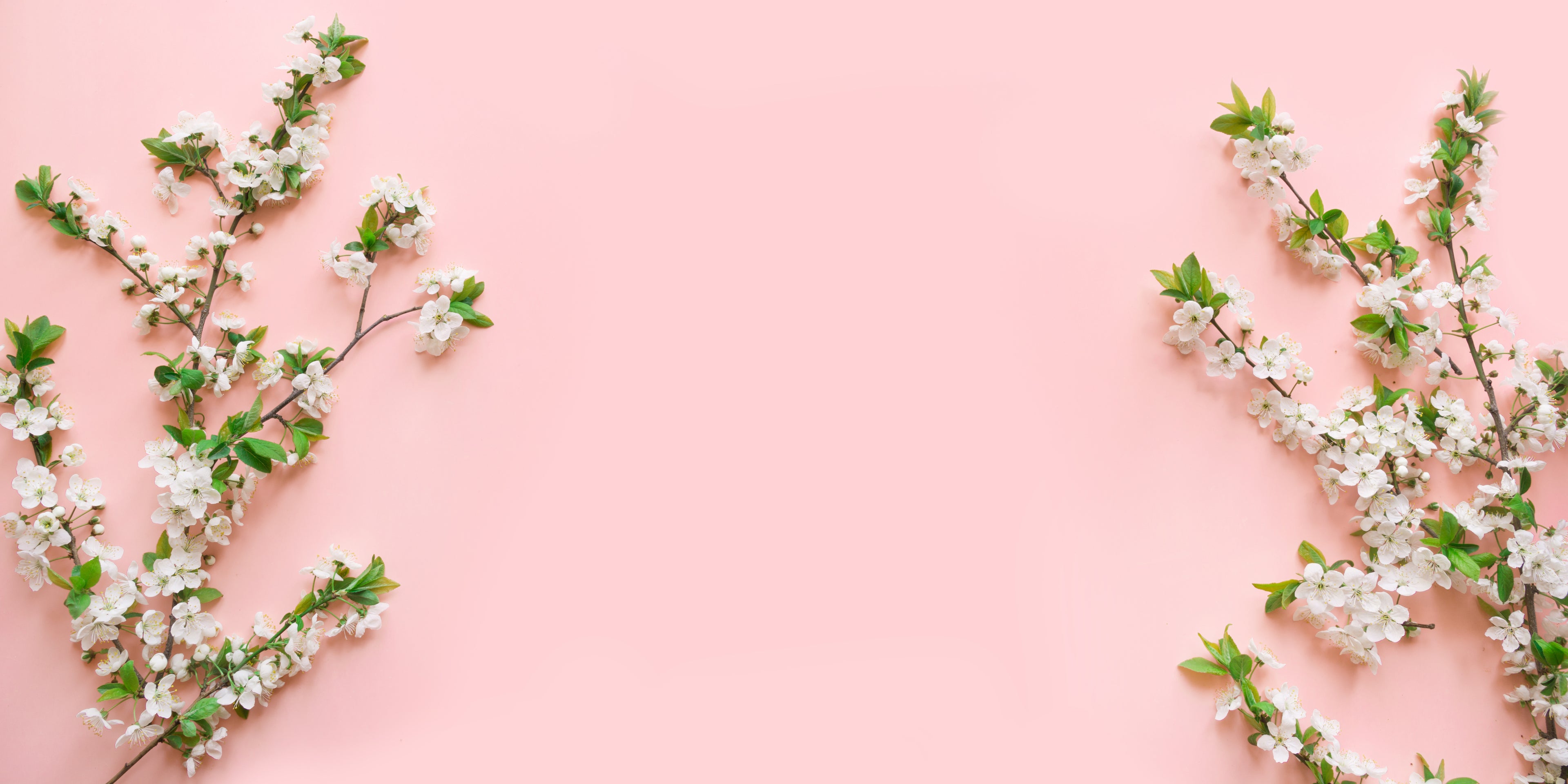Wellness im Frühling - Tipps gegen die Frühjahrsmüdigkeit