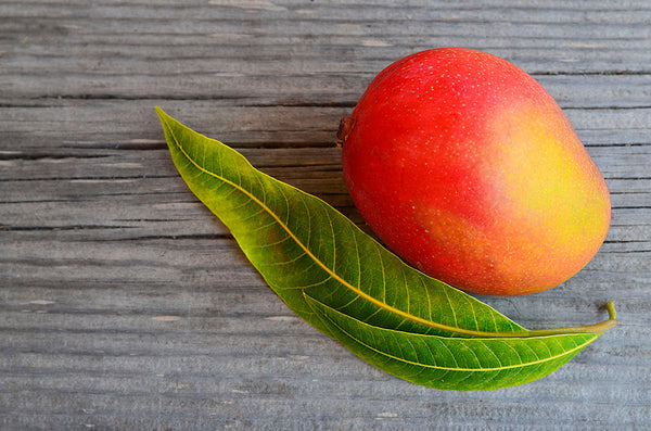 Aromatherapie: Wie Duftstoffe wirken - Mango