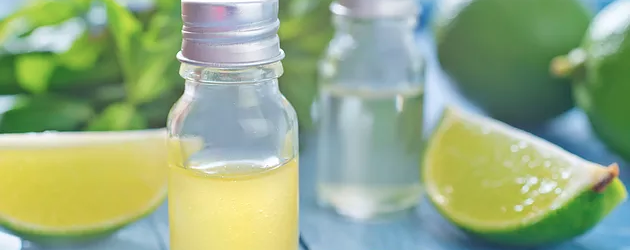 Die Macht der Düfte - Wie Düfte auf Körper, Geist und Seele wirken