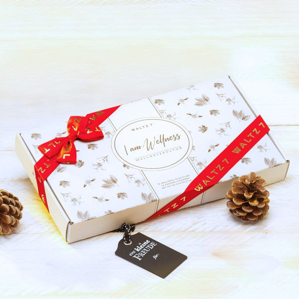 Duschwellness Bestseller Set mit 16 Duschbomben aus der Show