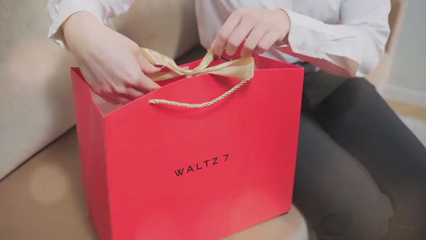WALTZ 7 Christmas gift video (EN)
